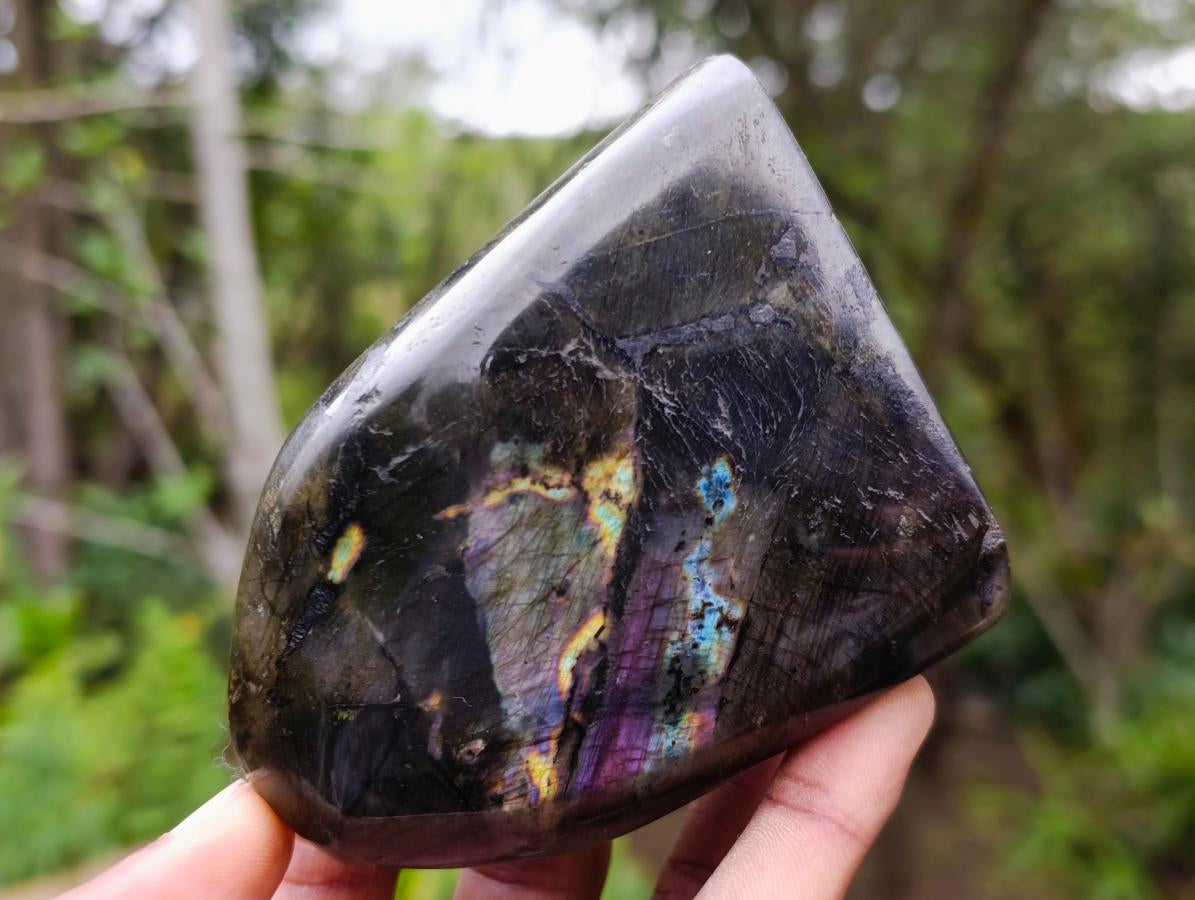 Polished Spectrolite Labradorite Standing Display Pieces x 4 From Madagascar - Toprock Gemstones and Minerals 