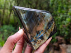 Polished Spectrolite Labradorite Standing Display Pieces x 4 From Madagascar - Toprock Gemstones and Minerals 