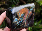 Polished Spectrolite Labradorite Standing Display Pieces x 4 From Madagascar - Toprock Gemstones and Minerals 