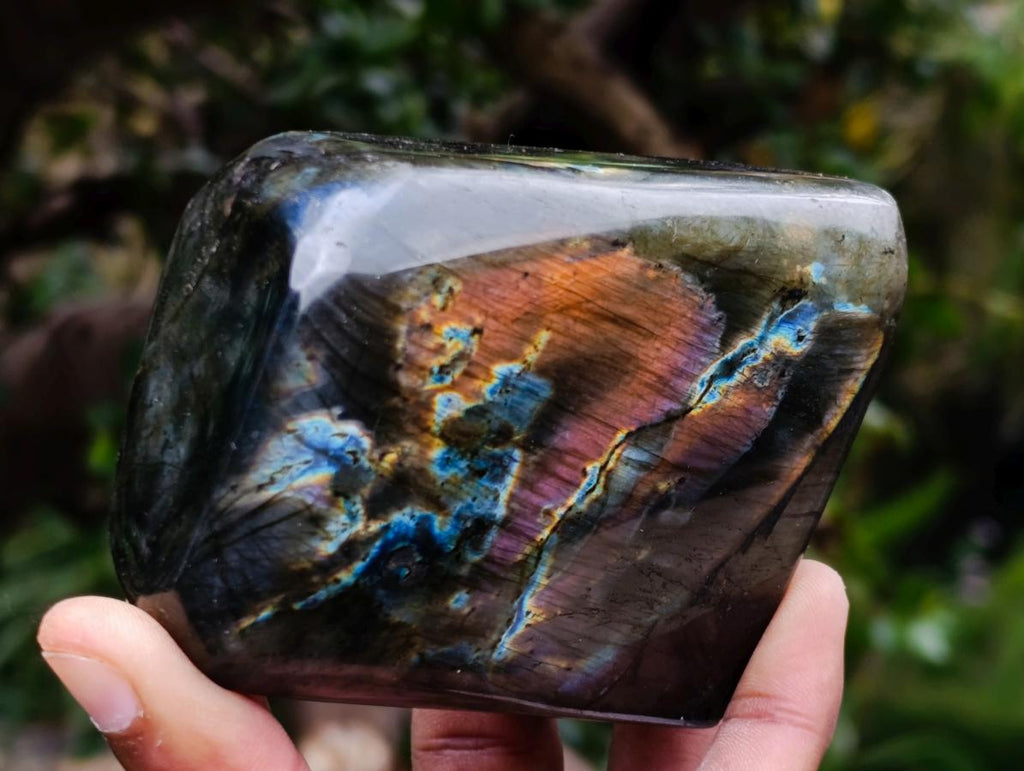 Polished Spectrolite Labradorite Standing Display Pieces x 4 From Madagascar - Toprock Gemstones and Minerals 