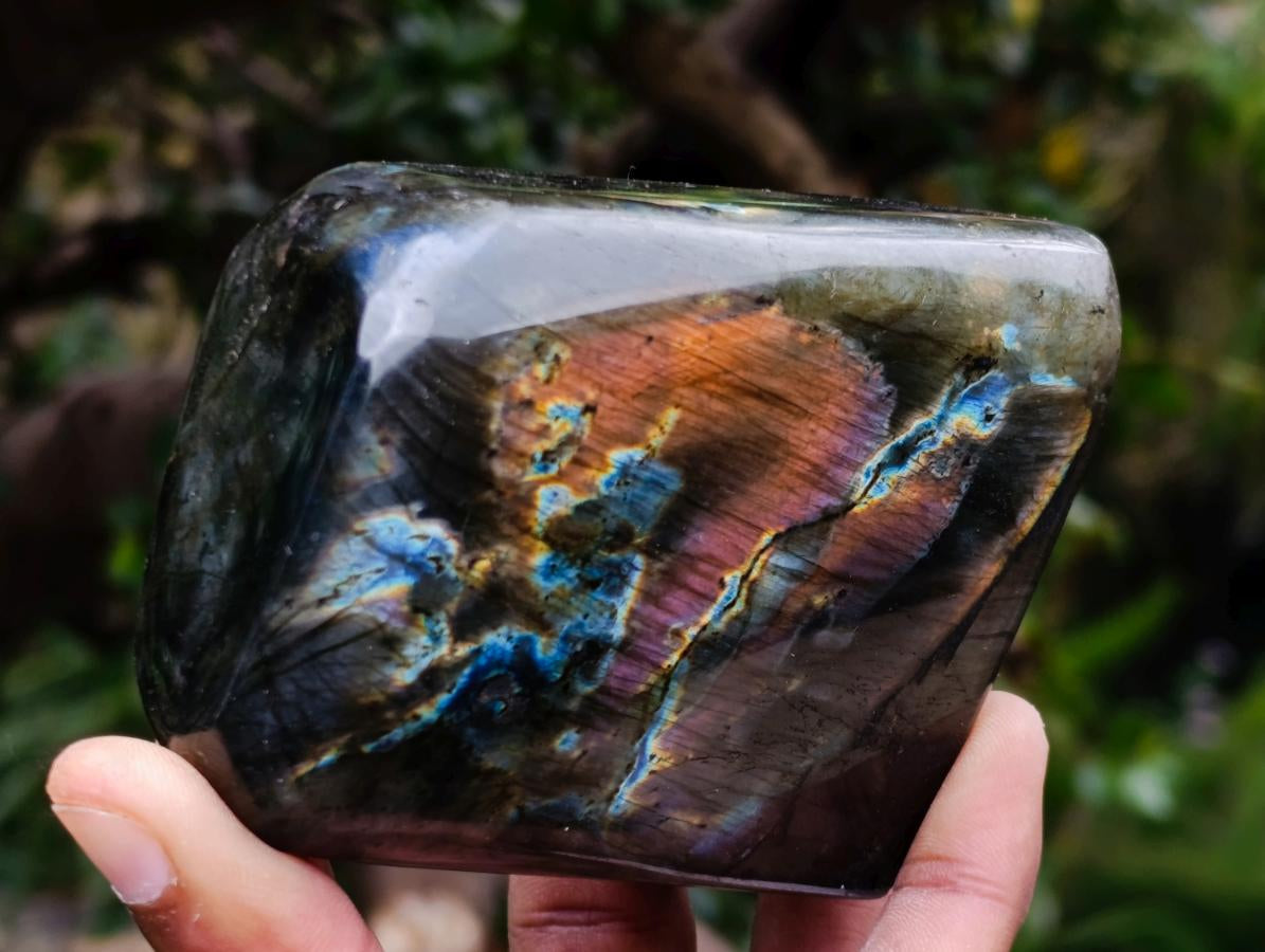 Polished Spectrolite Labradorite Standing Display Pieces x 4 From Madagascar - Toprock Gemstones and Minerals 