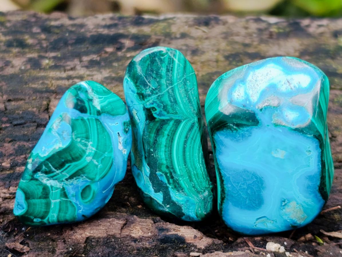 Polished Malacolla Free Forms x 29 From Kulukuluku, Congo - Toprock Gemstones and Minerals 