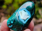 Polished Malacolla Free Forms x 29 From Kulukuluku, Congo - Toprock Gemstones and Minerals 