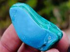 Polished Malacolla Free Forms x 29 From Kulukuluku, Congo - Toprock Gemstones and Minerals 