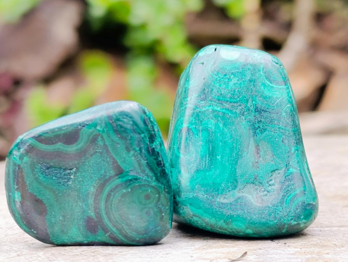 Polished Malacolla Free Forms x 29 From Kulukuluku, Congo - Toprock Gemstones and Minerals 
