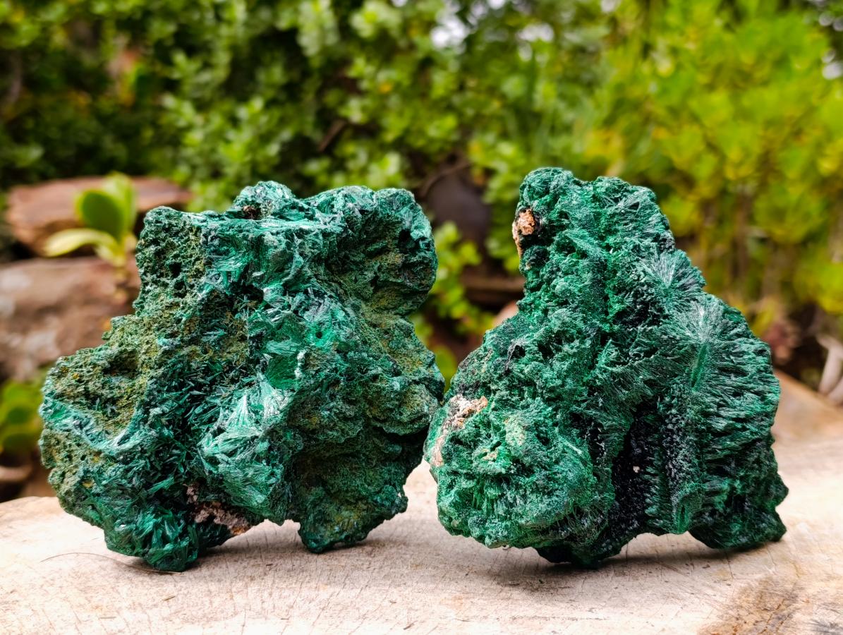 Natural Silky Malachite Specimens x 2 From Kasompe, Congo - Toprock Gemstones and Minerals 