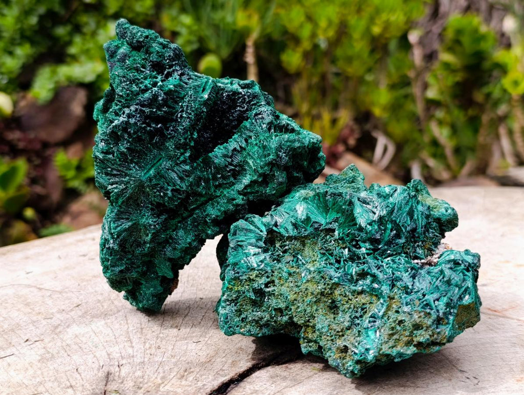 Natural Silky Malachite Specimens x 2 From Kasompe, Congo - Toprock Gemstones and Minerals 