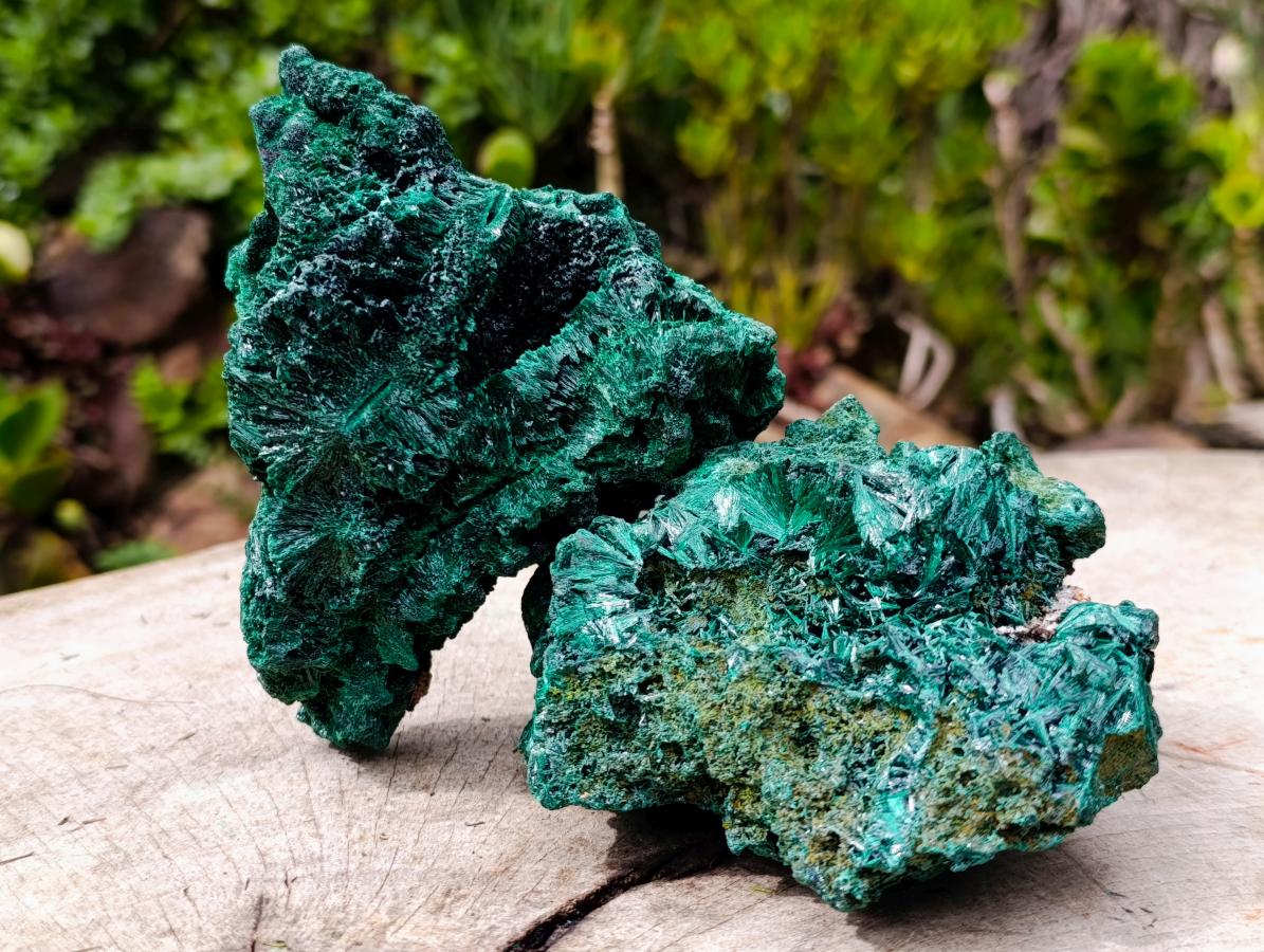 Natural Silky Malachite Specimens x 2 From Kasompe, Congo - Toprock Gemstones and Minerals 