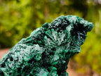 Natural Silky Malachite Specimens x 2 From Kasompe, Congo - Toprock Gemstones and Minerals 