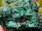Natural Silky Malachite Specimens x 2 From Kasompe, Congo - Toprock Gemstones and Minerals 