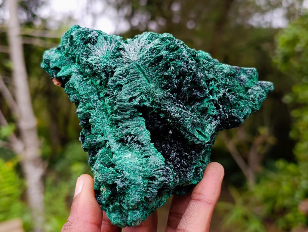 Natural Silky Malachite Specimens x 2 From Kasompe, Congo - Toprock Gemstones and Minerals 