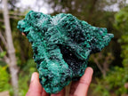Natural Silky Malachite Specimens x 2 From Kasompe, Congo - Toprock Gemstones and Minerals 