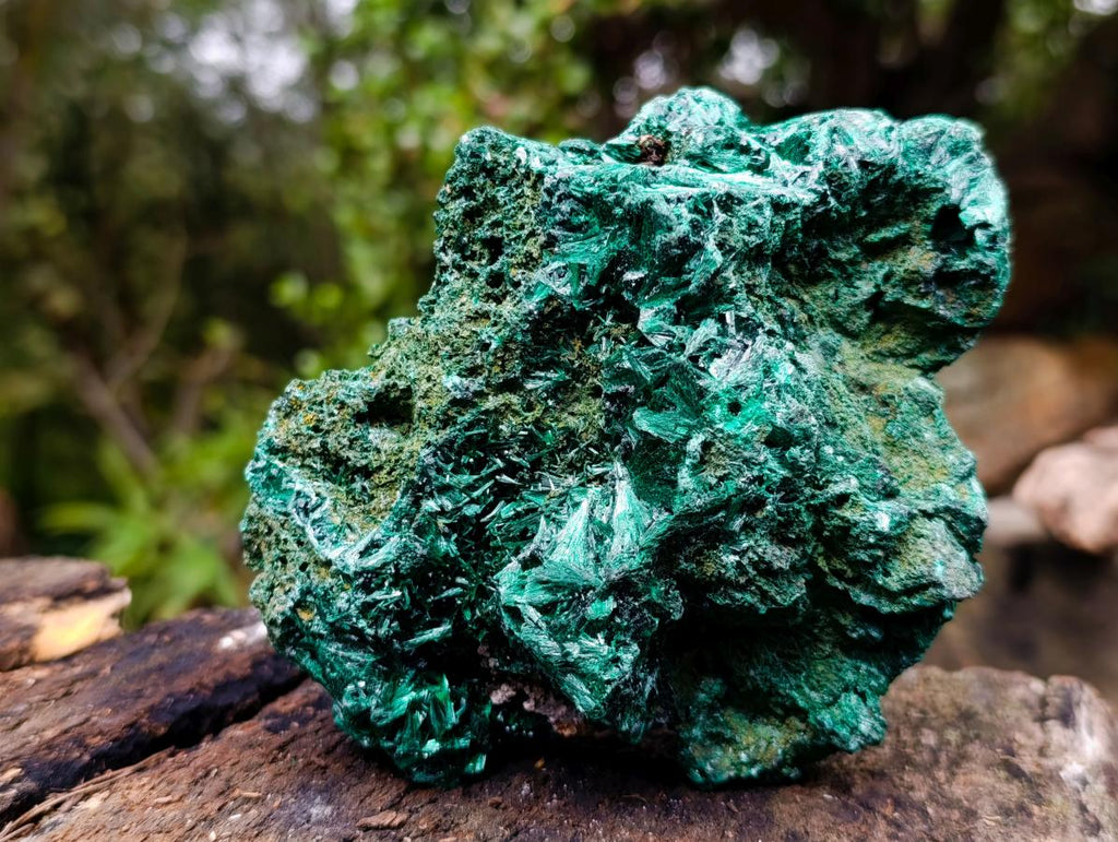 Natural Silky Malachite Specimens x 2 From Kasompe, Congo - Toprock Gemstones and Minerals 