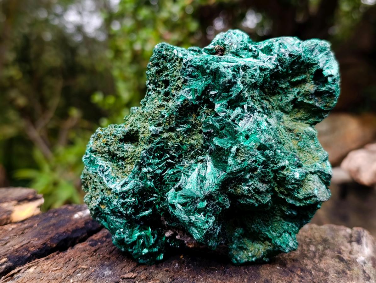Natural Silky Malachite Specimens x 2 From Kasompe, Congo - Toprock Gemstones and Minerals 