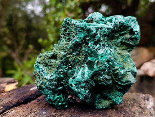 Natural Silky Malachite Specimens x 2 From Kasompe, Congo - Toprock Gemstones and Minerals 