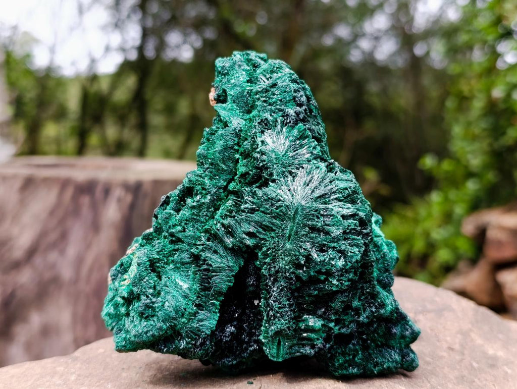Natural Silky Malachite Specimens x 2 From Kasompe, Congo - Toprock Gemstones and Minerals 
