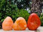 Polished Orange Twist Calcite Standing Display Pieces x 3 From Maevantanana, Madagascar - Toprock Gemstones and Minerals 