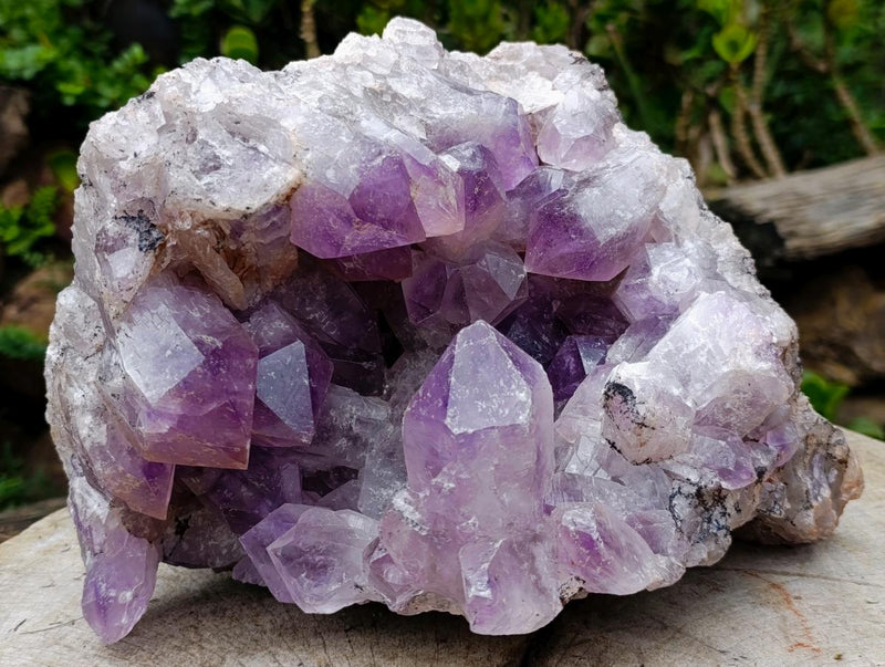 Natural XL Jacaranda Amethyst Crystal Cluster x 1 From Mumbwa, Zambia - Toprock Gemstones and Minerals 