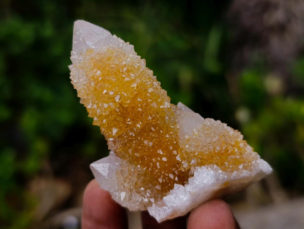 Natural Golden Limonite Spirit Quartz Crystals x 35 From Boekenhouthoek, South Africa - Toprock Gemstones and Minerals 