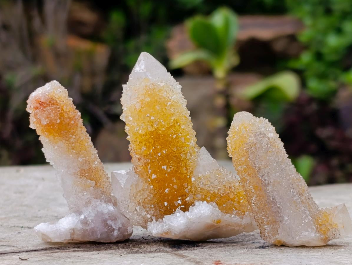 Natural Golden Limonite Spirit Quartz Crystals x 35 From Boekenhouthoek, South Africa - Toprock Gemstones and Minerals 