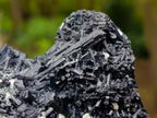 Natural Schorl Black Tourmaline with Associated Minerals x 2 From Erongo, Namibia - Toprock Gemstones and Minerals 