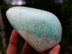Polished Mixed Multi Mineral Free Forms x 7 From Madagascar - Toprock Gemstones and Minerals 