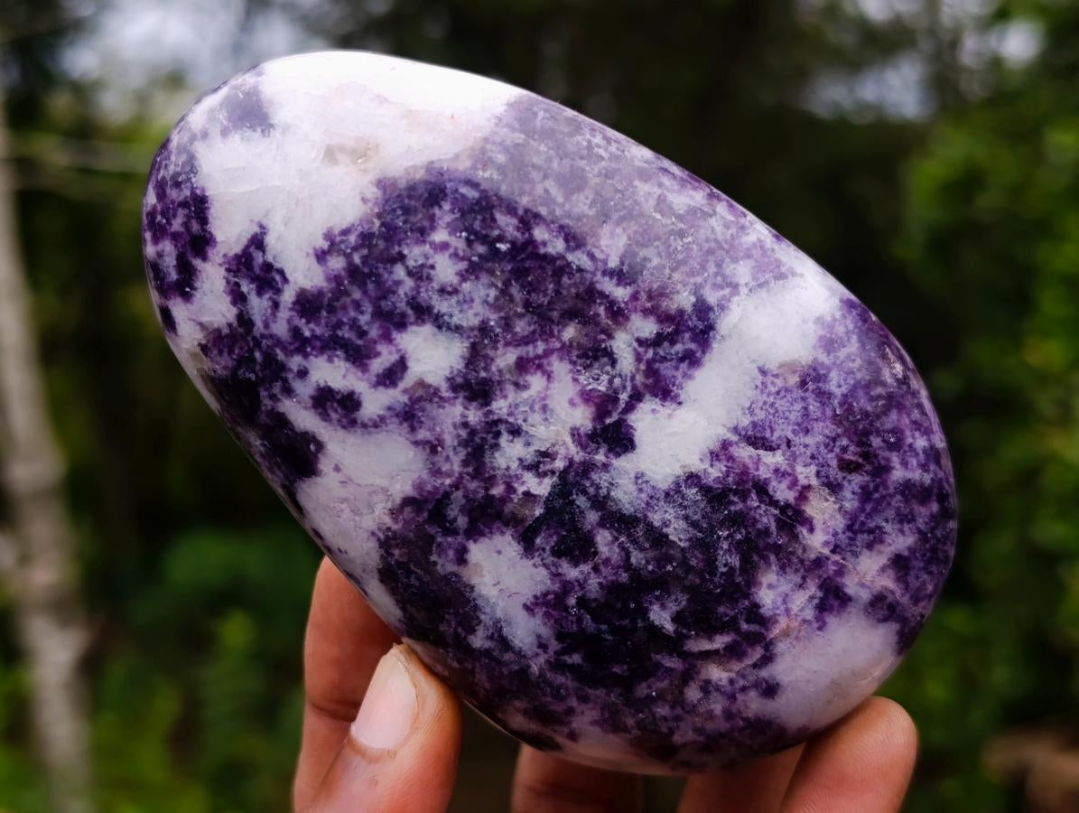 Polished Mixed Multi Mineral Free Forms x 7 From Madagascar - Toprock Gemstones and Minerals 