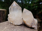 Natural Cascading Luena Quartz Crystals and Clusters x 5 From Luena, Congo - Toprock Gemstones and Minerals 