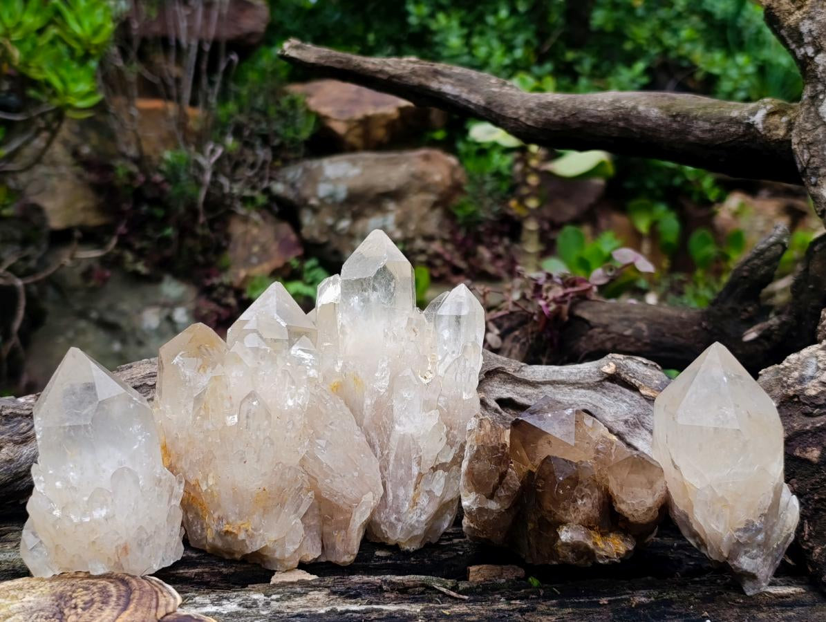 Natural Cascading Luena Quartz Crystals and Clusters x 5 From Luena, Congo - Toprock Gemstones and Minerals 
