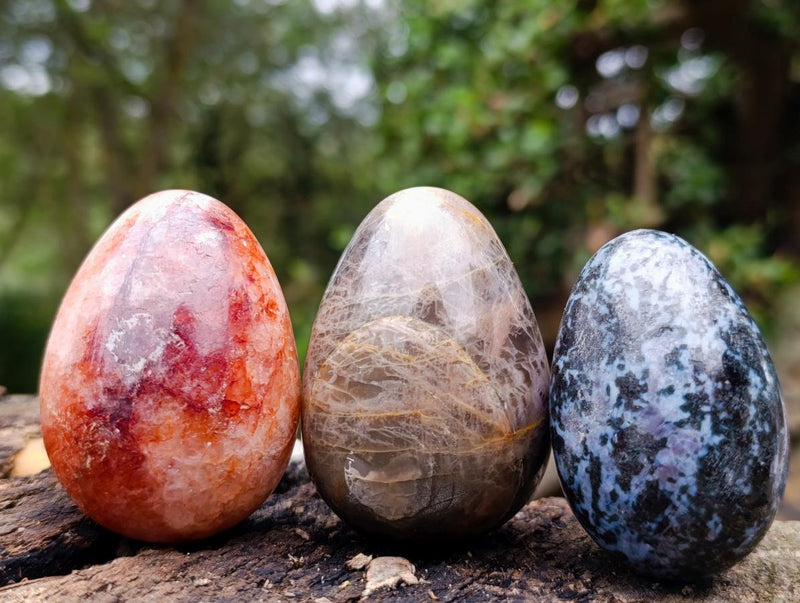 Polished Mixed Multi Mineral Eggs x 17 From Madagascar - Toprock Gemstones and Minerals 