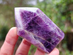 Polished Chevron Amethyst Display Crystals x 7 From Zambia - Toprock Gemstones and Minerals 