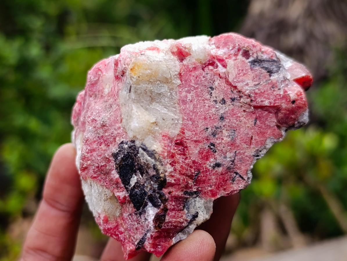 Natural Rhodonite Cobbed Specimens x 12 From Rhusinga, Zimbabwe - Toprock Gemstones and Minerals 