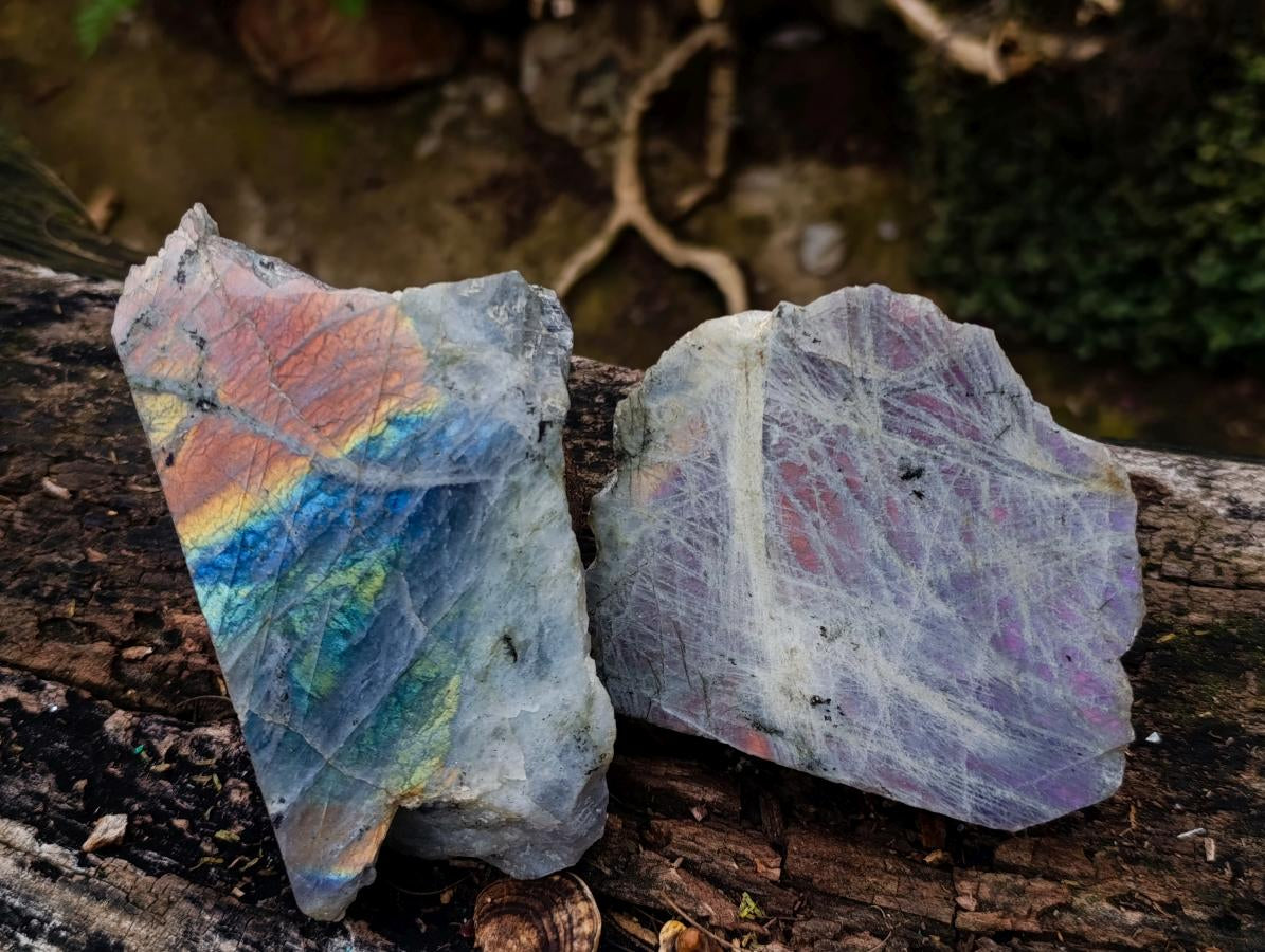 Polished One Side Purple Sunset Flash Labradorite Slices x 6 From Madagascar - Toprock Gemstones and Minerals 