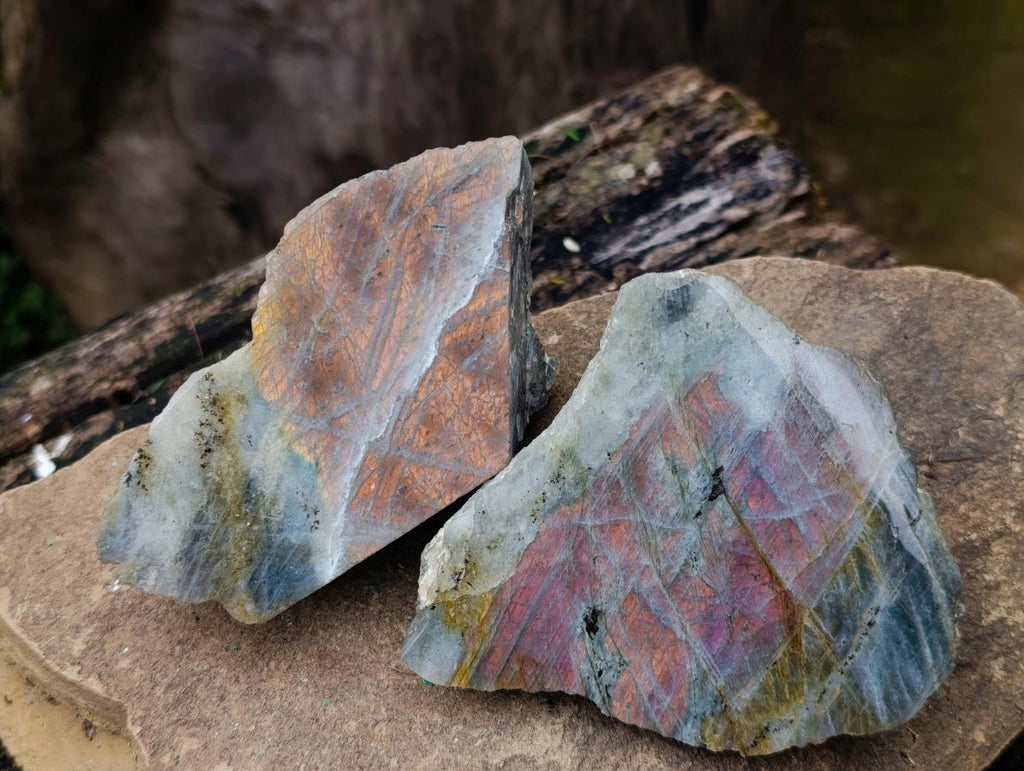 Polished One Side Purple Sunset Flash Labradorite Slices x 6 From Madagascar - Toprock Gemstones and Minerals 