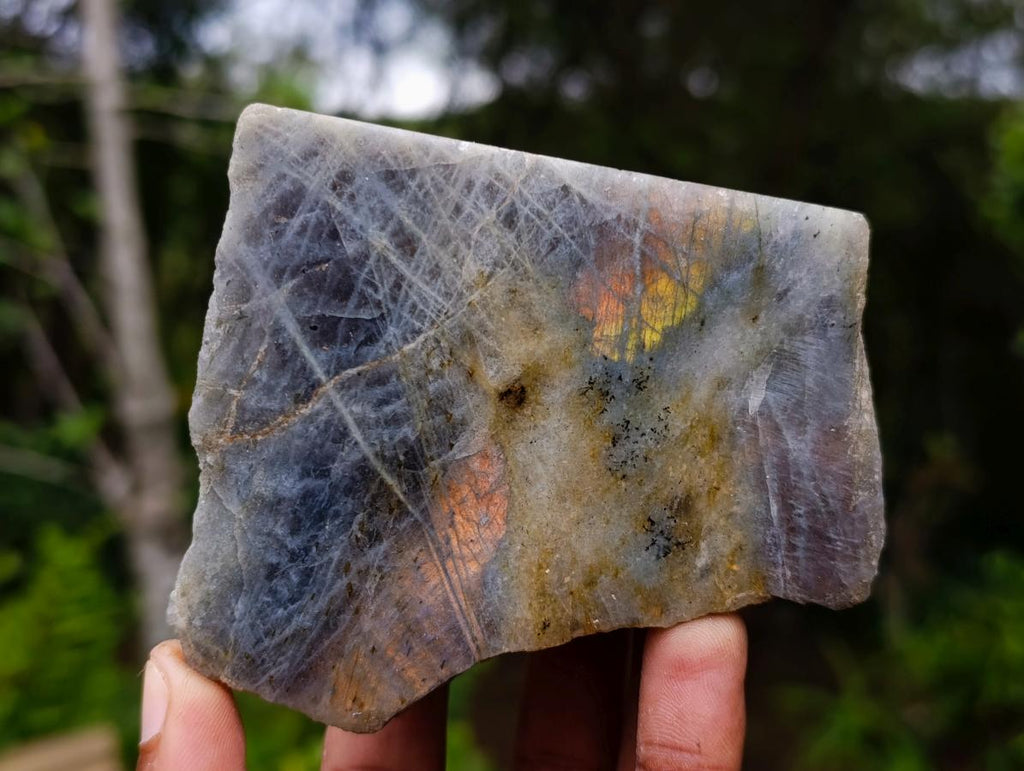 Polished One Side Purple Sunset Flash Labradorite Slices x 6 From Madagascar - Toprock Gemstones and Minerals 
