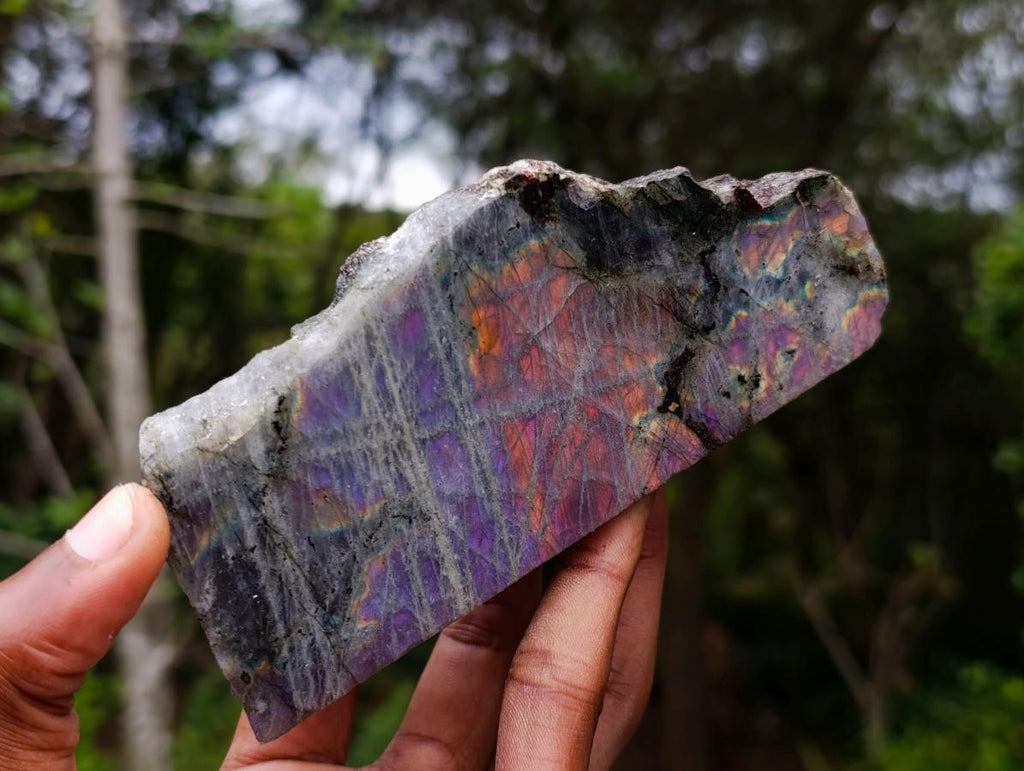 Polished One Side Purple Sunset Flash Labradorite Slices x 6 From Madagascar - Toprock Gemstones and Minerals 