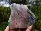 Polished One Side Purple Sunset Flash Labradorite Slices x 6 From Madagascar - Toprock Gemstones and Minerals 