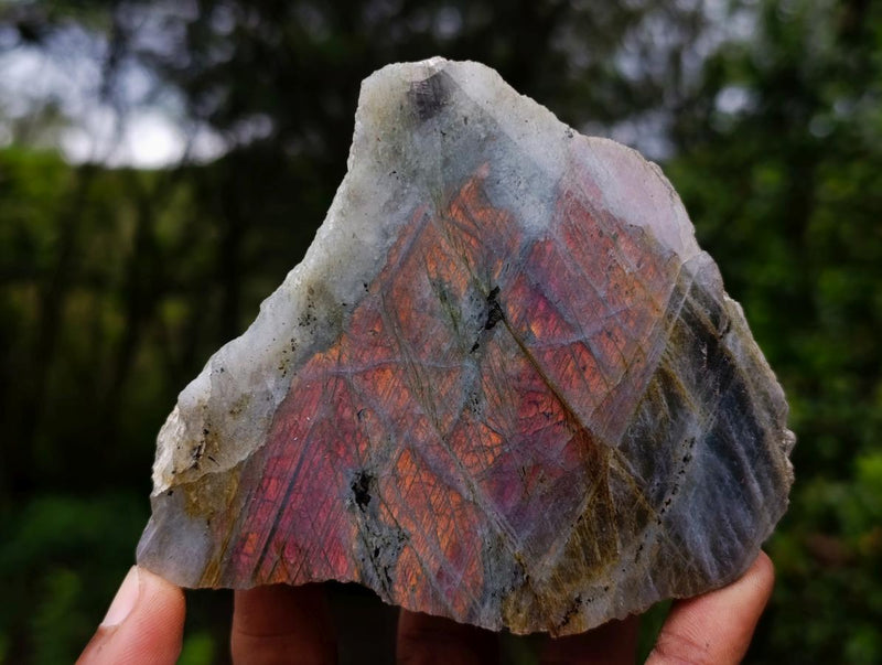 Polished One Side Purple Sunset Flash Labradorite Slices x 6 From Madagascar - Toprock Gemstones and Minerals 