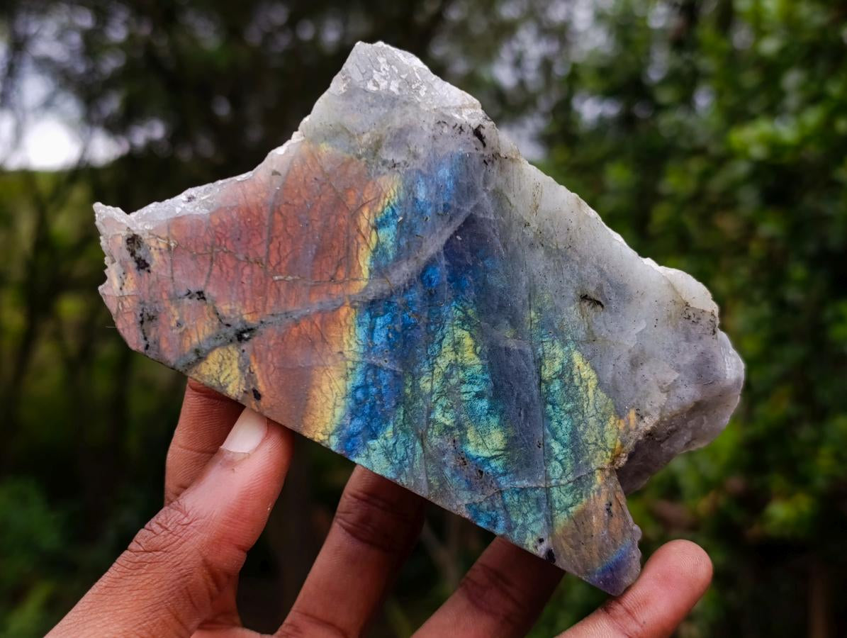 Polished One Side Purple Sunset Flash Labradorite Slices x 6 From Madagascar - Toprock Gemstones and Minerals 