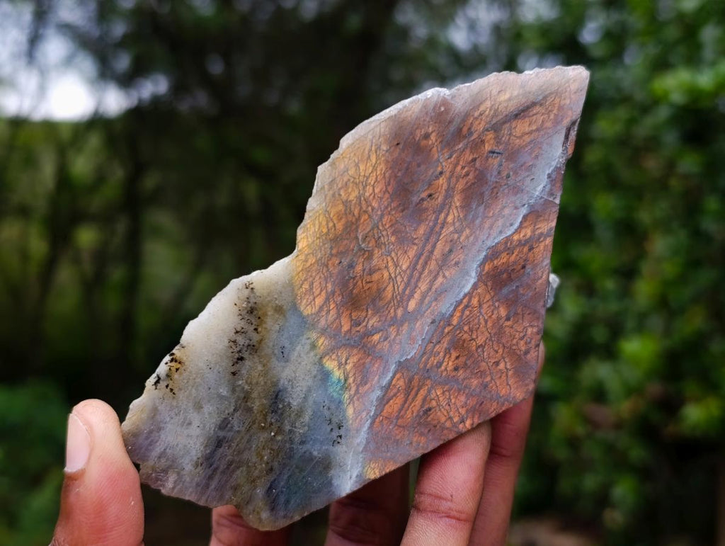 Polished One Side Purple Sunset Flash Labradorite Slices x 6 From Madagascar - Toprock Gemstones and Minerals 