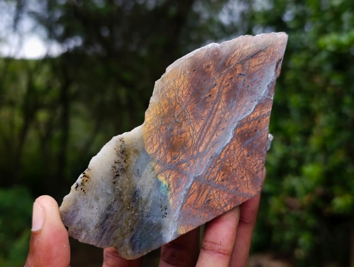 Polished One Side Purple Sunset Flash Labradorite Slices x 6 From Madagascar - Toprock Gemstones and Minerals 