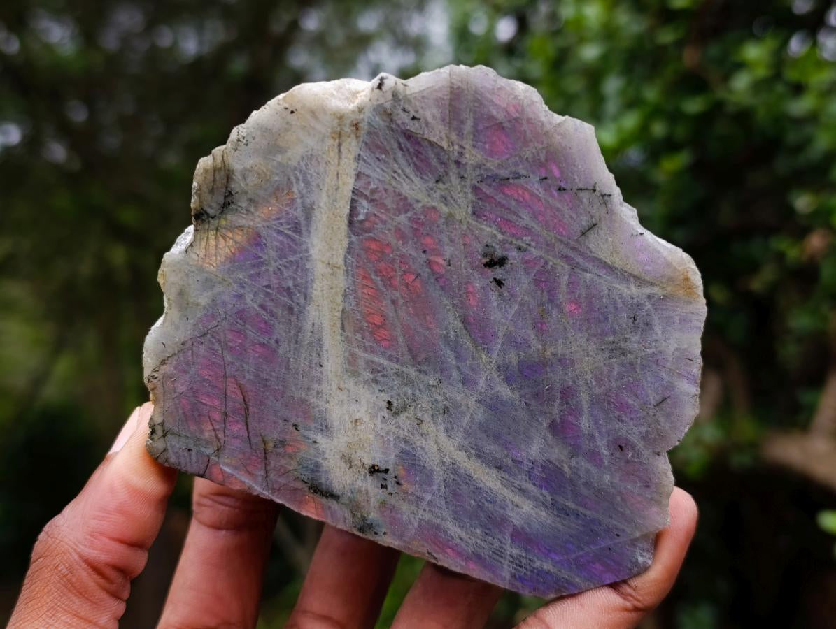 Polished One Side Purple Sunset Flash Labradorite Slices x 6 From Madagascar - Toprock Gemstones and Minerals 