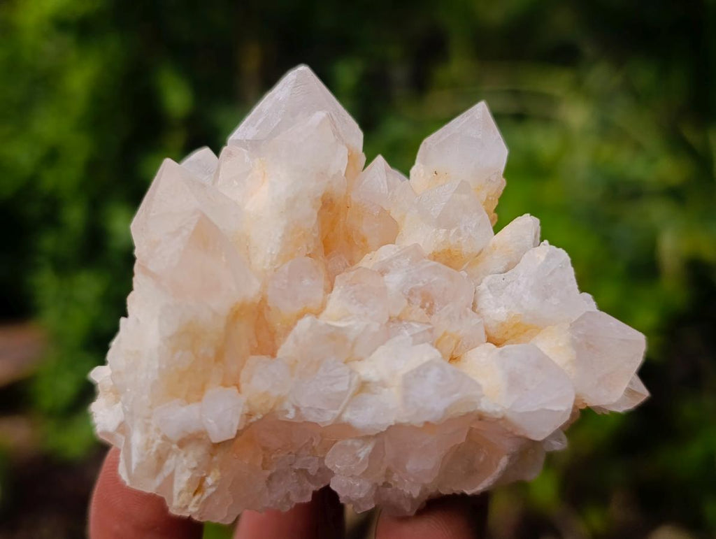 Natural Cascading "Anananas" Candle Quartz Crystals x 24 From Antsirabe, Madagascar - Toprock Gemstones and Minerals 