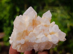Natural Cascading "Anananas" Candle Quartz Crystals x 24 From Antsirabe, Madagascar - Toprock Gemstones and Minerals 
