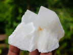 Natural Cascading "Anananas" Candle Quartz Crystals x 24 From Antsirabe, Madagascar - Toprock Gemstones and Minerals 