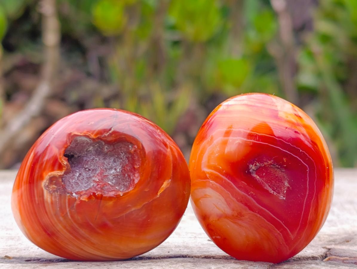 Polished Carnelian Agate Gemstone Galets x 24 From Madagascar - Toprock Gemstones and Minerals 