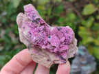 Natural Salrose Cobaltoan Dolomite Specimens x 4 From Kakanda, Congo - Toprock Gemstones and Minerals 