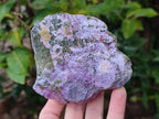 Natural Cobbed Stichtite Specimens x 6 From Barberton, South Africa - Toprock Gemstones and Minerals 