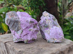 Natural Cobbed Stichtite Specimens x 6 From Barberton, South Africa - Toprock Gemstones and Minerals 