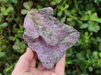 Natural Cobbed Stichtite Specimens x 6 From Barberton, South Africa - Toprock Gemstones and Minerals 